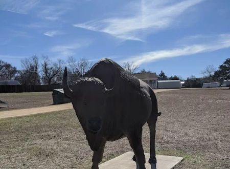 Buffalo Land Blue River RV Park