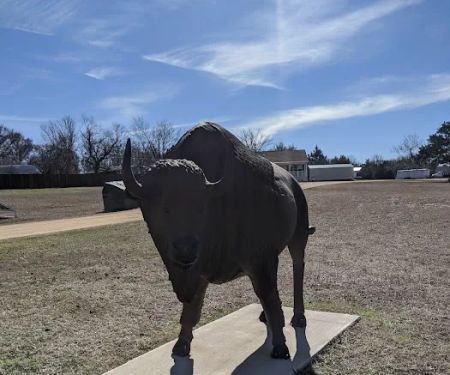 Buffalo Land Blue River RV Park