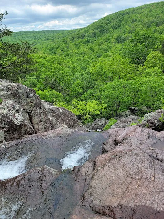 Powder Mill Campground Picture 5