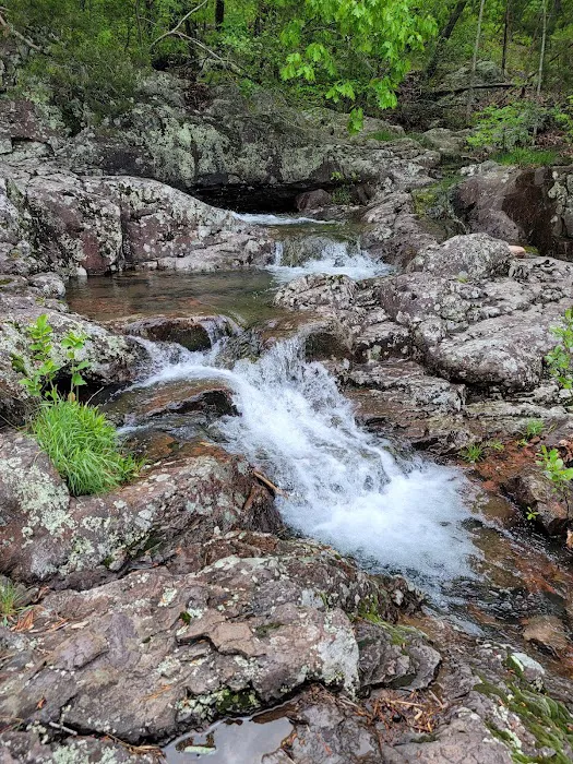 Powder Mill Campground Picture 3