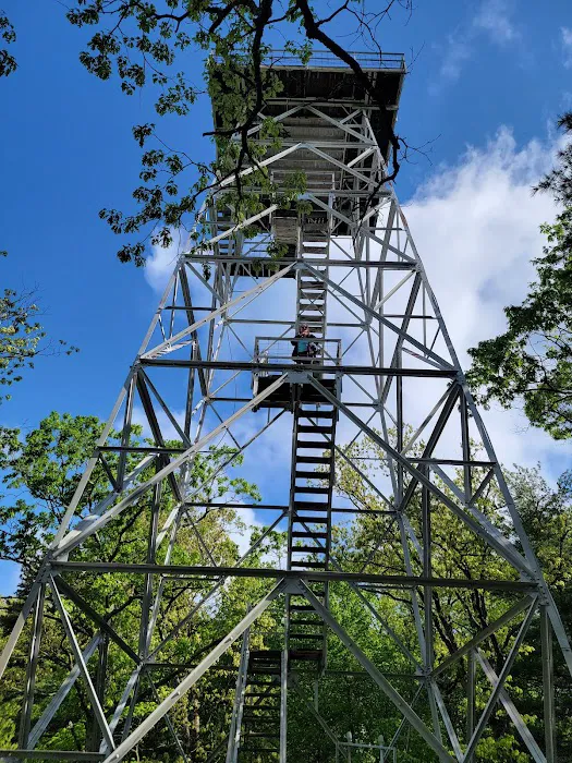 Powder Mill Campground Picture 7