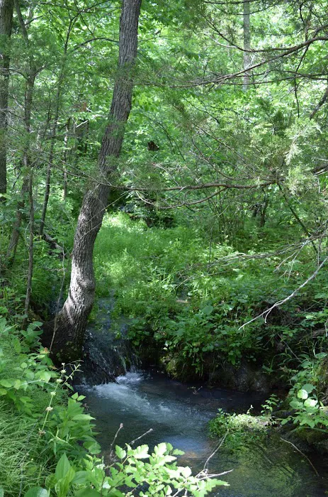 Troublesome Hollow Primitive Campsites Picture 2
