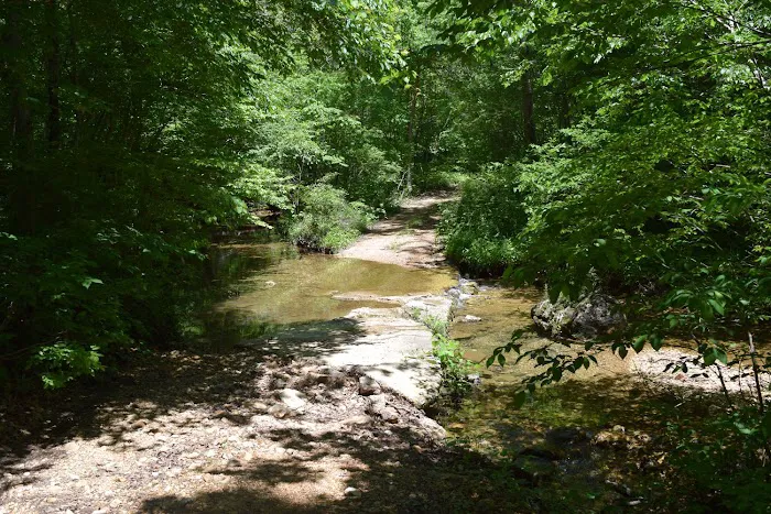 Troublesome Hollow Primitive Campsites Picture 4