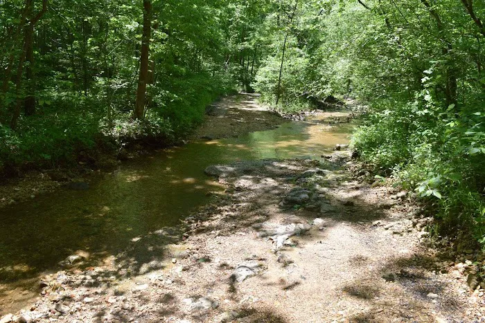 Troublesome Hollow Primitive Campsites Picture 9