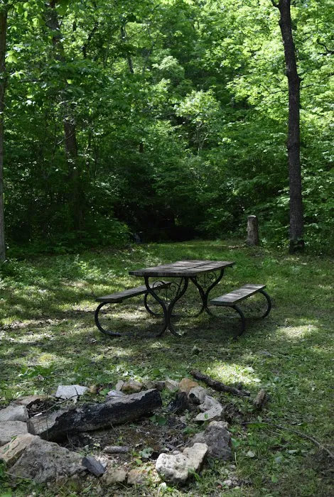 Troublesome Hollow Primitive Campsites Picture 10