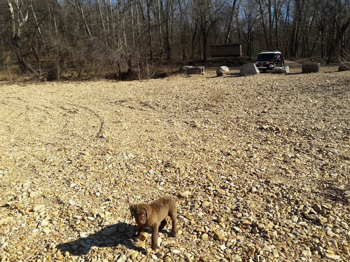 Sinking Creek Campground Picture 9