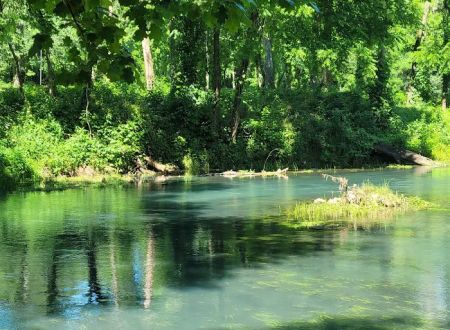 Round Spring Campground