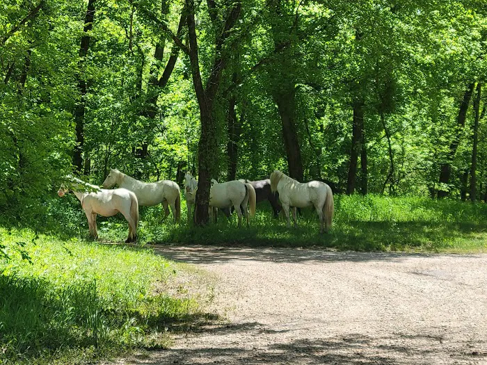 Round Spring Campground Picture 4