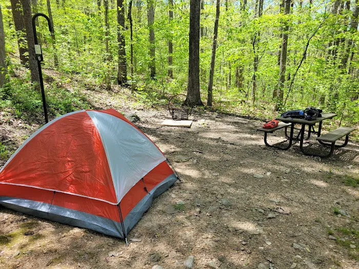 Round Spring Campground Picture 5