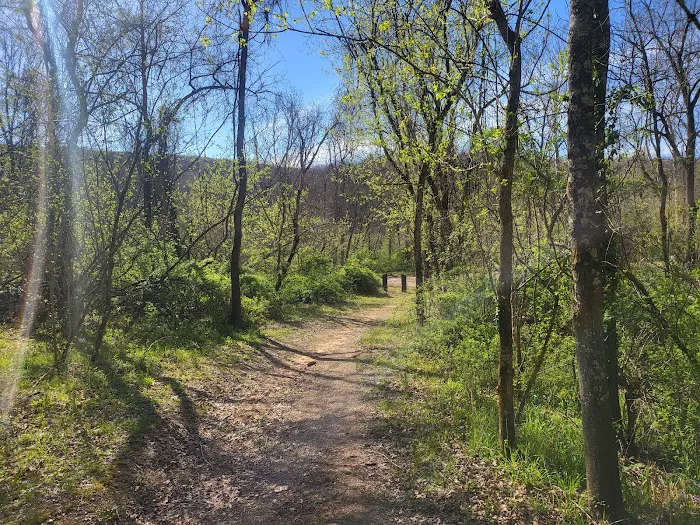 Jerktail Landing Campground Picture 10