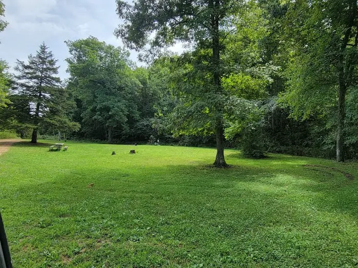 Jason Place Campground Picture 5