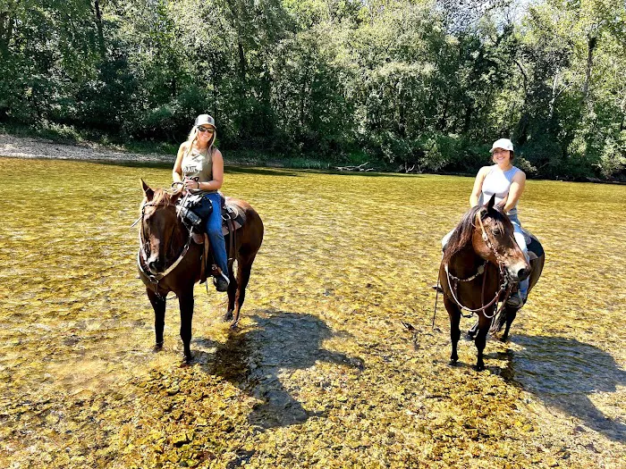 Old Desperado Ranch Picture 8