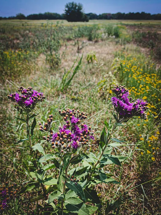 The Roost and Ride Ranch Picture 1