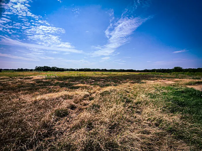 The Roost and Ride Ranch Picture 6