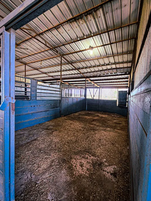 The Roost and Ride Ranch Picture 9