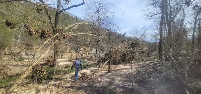 Cedargrove Campground Picture 2