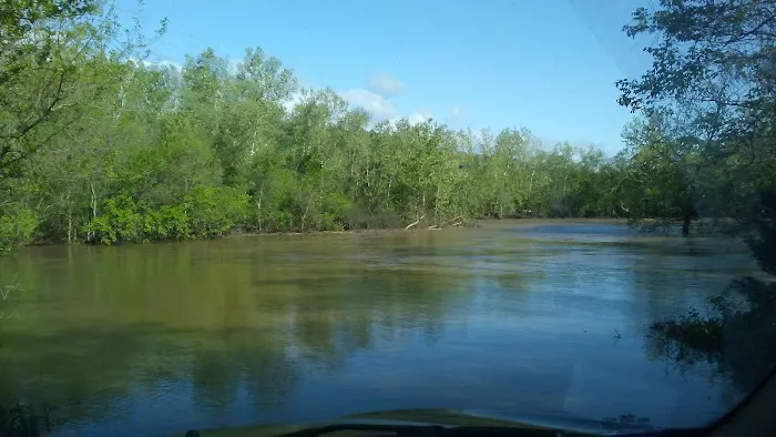 Cedargrove Campground Picture 8
