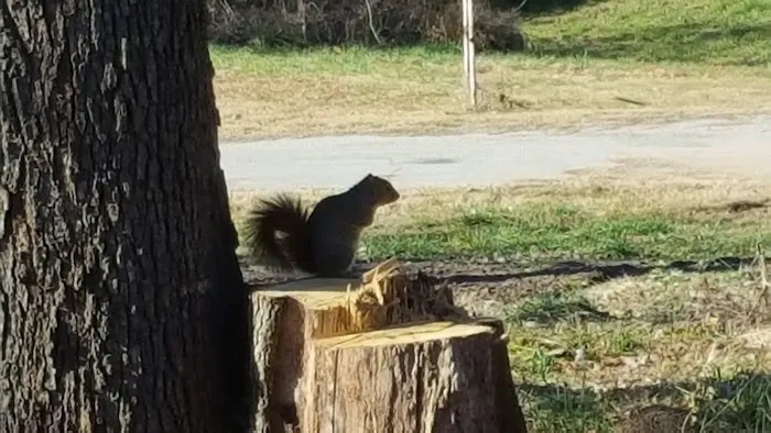 Eagle Pass Campground Picture 5