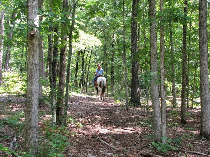 Pinecrest Campground & Cabins Picture 9
