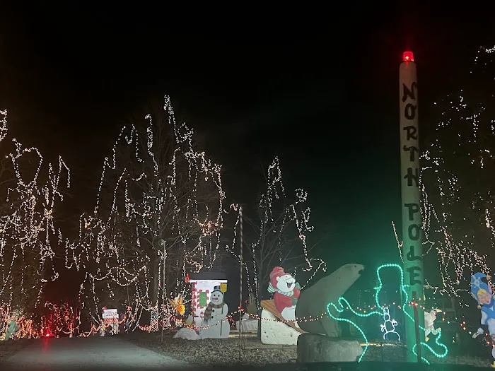 Yogi Bear's Jellystone Park Picture 7