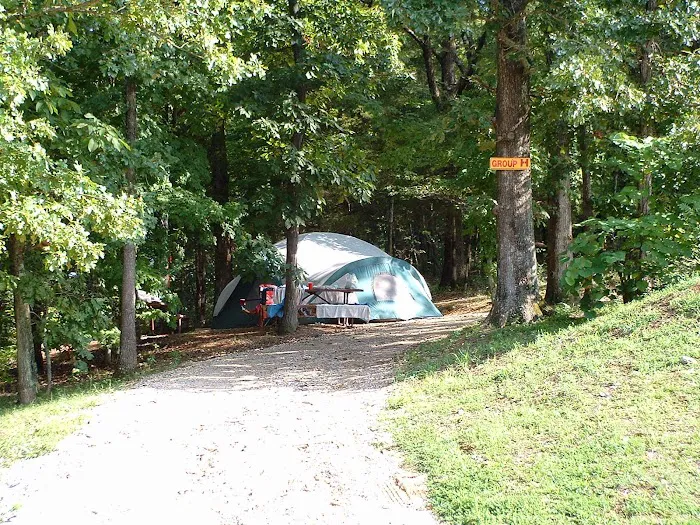 Yogi Bear's Jellystone Park Picture 6