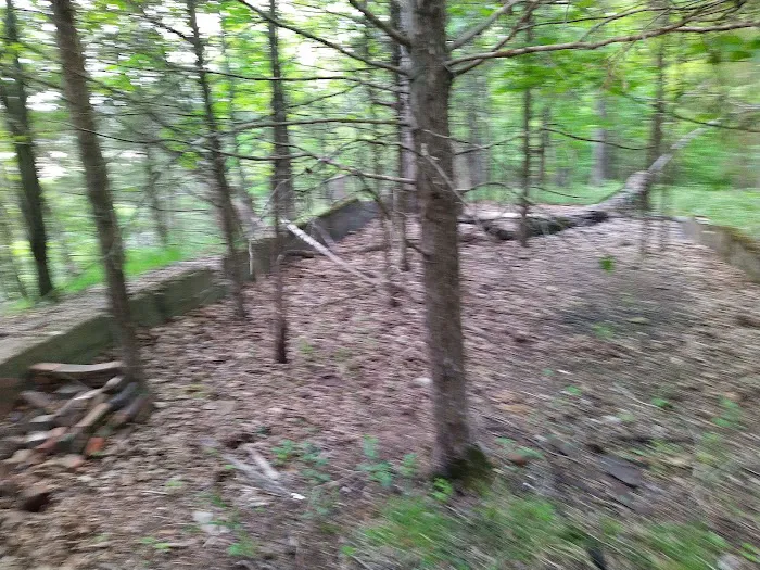 Forrest Staley County Park Picture 3