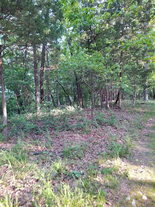 Forrest Staley County Park Picture 4