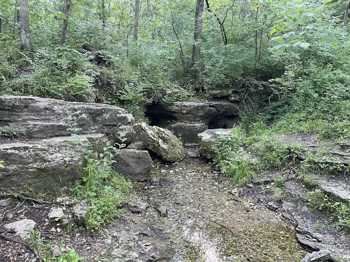Group Camping Area, Edmund A. Babler Memorial State Park Picture 8