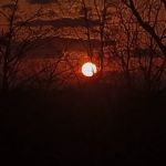 Eclipse Camping Van Buren, Missouri.