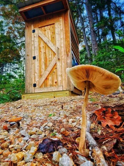 Two Rivers Ozark Cabins and Glamping Tents Picture 5