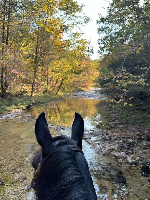 Shawnee Creek Horse Camp Picture 5