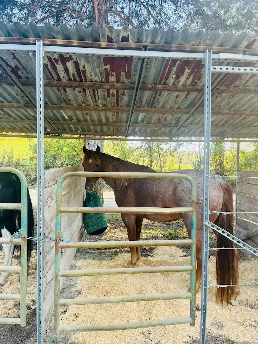 Shawnee Creek Horse Camp Picture 8