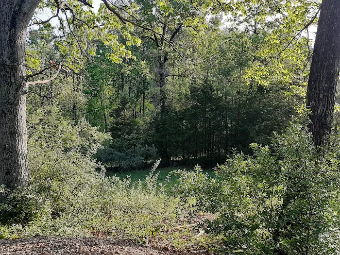 Ridgeview RV Campground, LLC. Picture 3