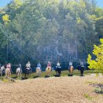 Horseshoe Holler Horse Camp