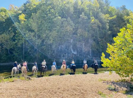 Horseshoe Holler Horse Camp