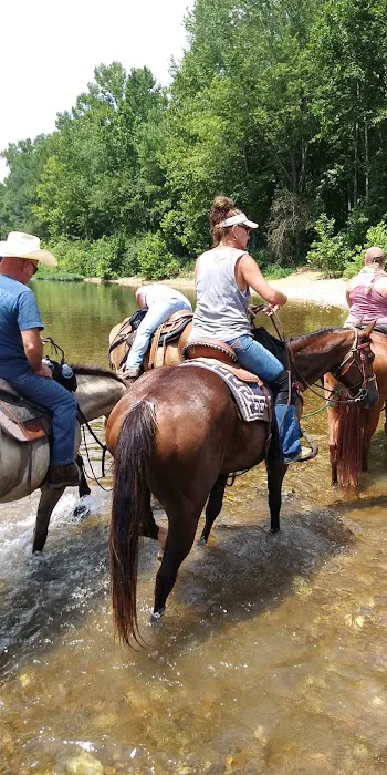 Horseshoe Holler Horse Camp Picture 2