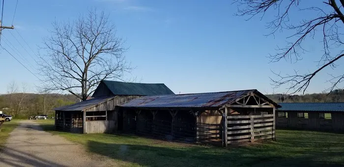Horseshoe Holler Horse Camp Picture 5