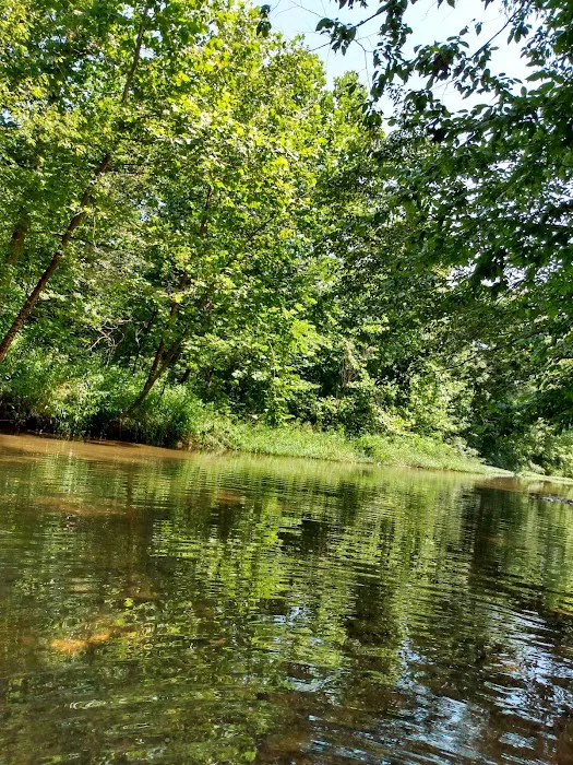 Buffalo Creek Campground Picture 6