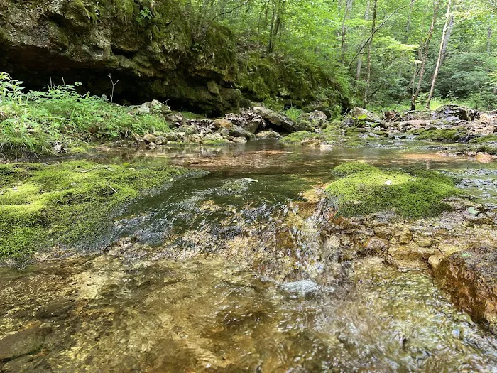 Buffalo Creek Campground Picture 7