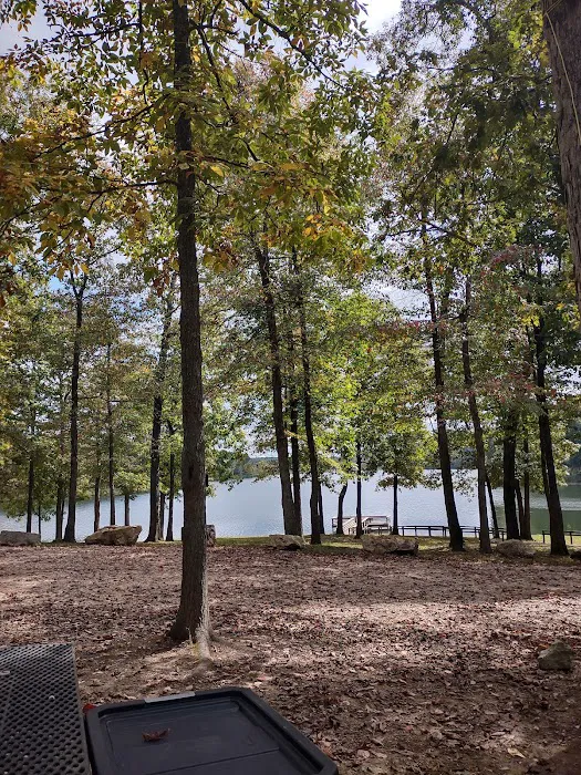 Fourche Lake Recreation Area, Mark Twain National Forest Picture 2