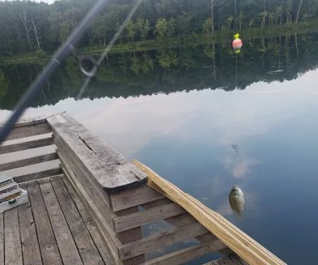 Fourche Lake Recreation Area, Mark Twain National Forest