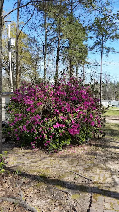 Shady Cove RV Park Picture 6