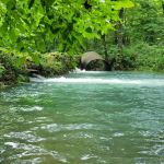 Boze Mill Float Camp