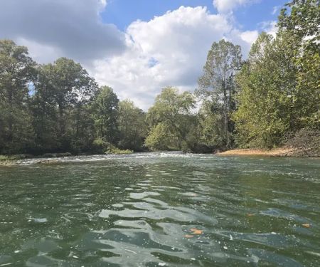 Whites Creek Float Camp