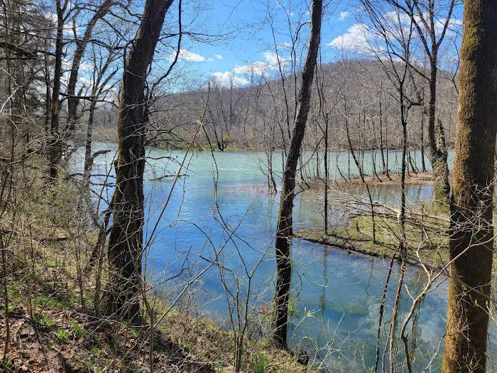 Bliss Spring Campground Picture 3
