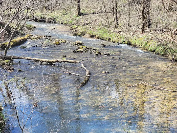 Bliss Spring Campground Picture 5