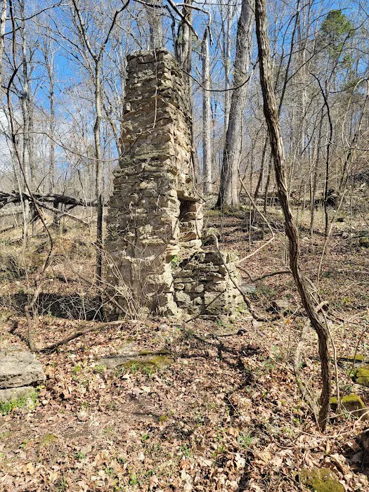 Bliss Spring Campground Picture 8