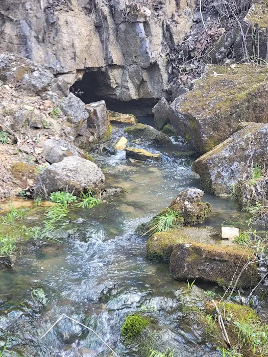Bliss Spring Campground Picture 6