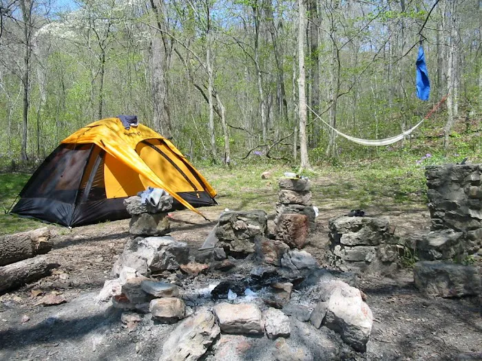 Bliss Spring Campground Picture 9