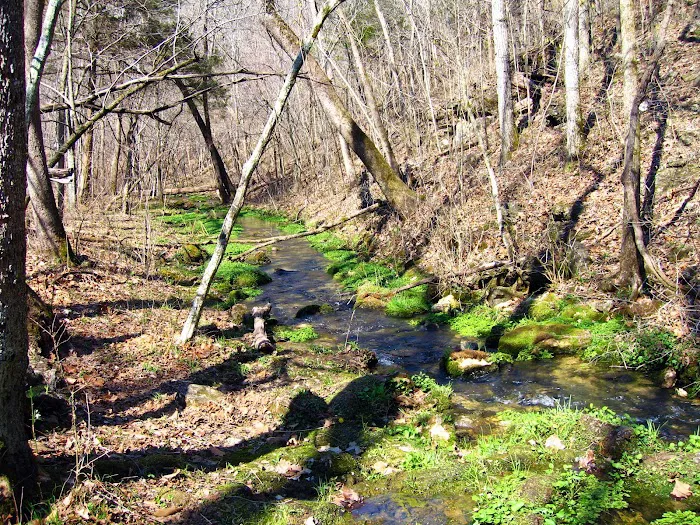 Bliss Spring Campground Picture 10